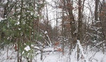 VL Good. Road, Alger, MI 48610