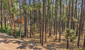 432 Blue Ridge Dr, Bayfield, CO 81122