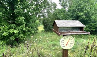 8818 French Rd, Alpena, MI 49707