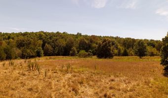 2000 County Road 100, Alton, MO 65606