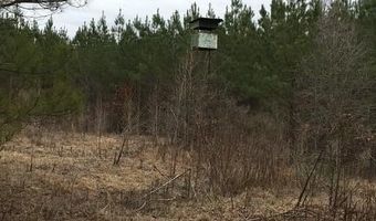 3463 Hwy 220 E, Lincolnton, GA 30817