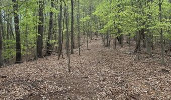 Mockingbird Ln, Bassett, VA 24055