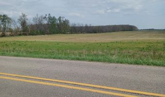 2000 W Bailey Highway Lot 2000 Gorman Rd, Adrian, MI 49221