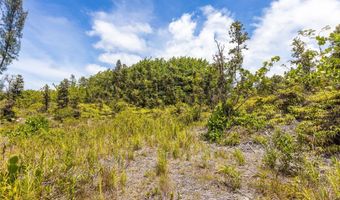15-925 LEMIWAI Rd, Keaau, HI 96749