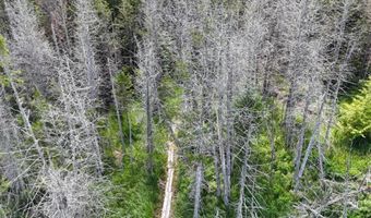 TBD STEVENS Road, Barton, VT 05822