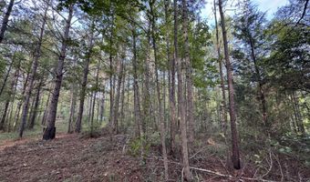 741 SE Hughs Hill Ln, Brookhaven, MS 39601