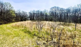 37774 State Hwy PP, Anabel, MO 63431