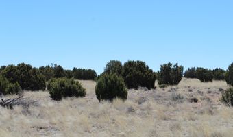 80 County Road 8620, Concho, AZ 85924