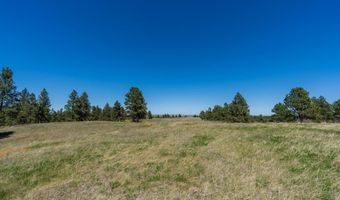 10504 Windmill Ridge Ln, Belle Fourche, SD 57717