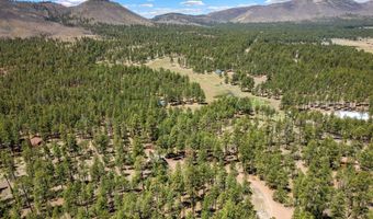 2 Co Rd N2147, Alpine, AZ 85920