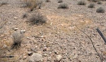 4755 Gold Butte Rd, Bunkerville, NV 89007