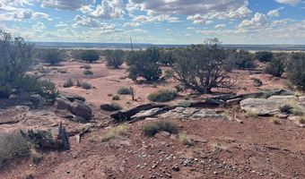 51 N9087, Concho, AZ 85924