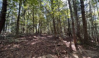 18 6 Acres Cave Branch Rd, Allardt, TN 38504