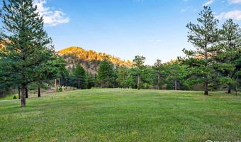 427 Wilderness Ridge Way, Bellvue, CO 80512