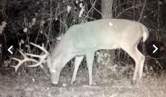 Putnam Road, Belzoni, MS 39038