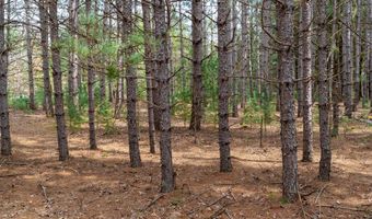 Dover Drive lot 2 +/-43 Ac, Adams, WI 53910