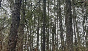 Wilburn Taylor Road, Buckatunna, MS 39322