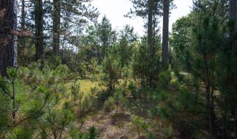 Lot 11 W 16th Court, Arkdale, WI 54613