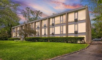 1531 Packard St 13, Ann Arbor, MI 48104