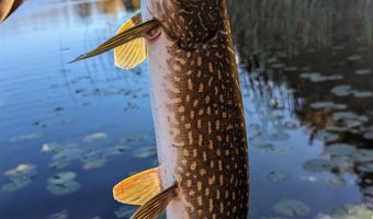 N5978 W ALASKA LAKE Road, Algoma, WI 54201