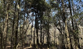 01 Bar M Farm, Andalusia, AL 36421