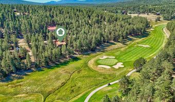 33 Champions Ter, Angel Fire, NM 87710