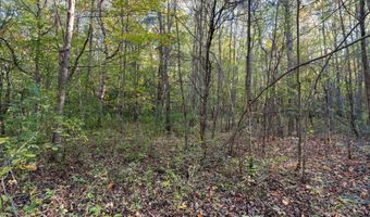 VL 61acres 34th, Allegan, MI 49010