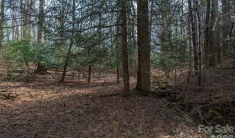 Ball Gap Road, Arden, NC 28704