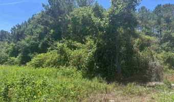 HIGHWAY 431 lot 0, Alexandria, AL 36250
