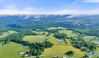 191 County Road 368, Albertville, AL 35951