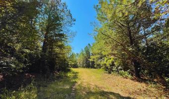 0 CR 320, Big Creek, MS 38914