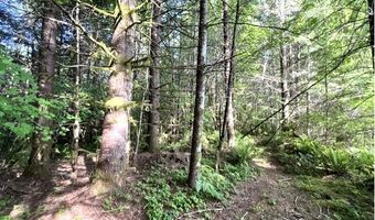 Nowakowski Rd, Banks, OR 97106