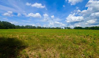 0 N County Rd. 75, Ashford, AL 36312