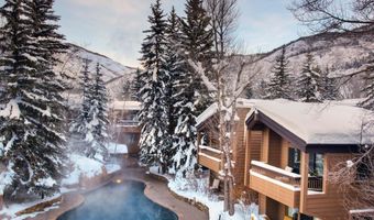 610 S West End St D304, Aspen, CO 81611