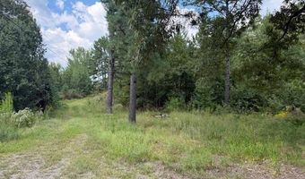 54 Shurley Ln, Austin, AR 72007