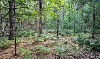 Hillside Drive, Alger, MI 48610