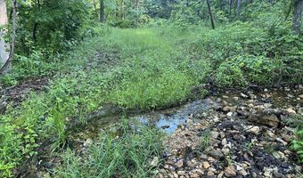 County Road P-305, Ava, MO 65608