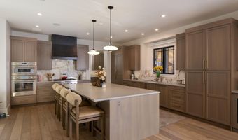 1263 Bunny Ct 1, Aspen, CO 81611