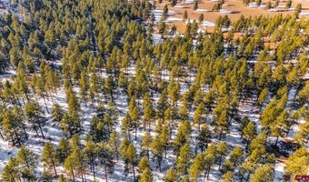 TBD Lot 11 Beaver Creek Ranch Drive, Bayfield, CO 81122