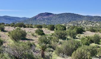 TR 111 Sierra La Rana, Alpine, TX 79830