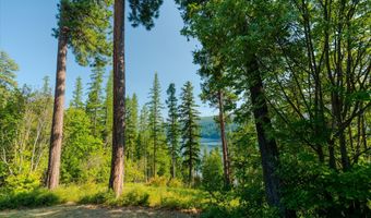 14259 Sunburst Dr, Bigfork, MT 59911