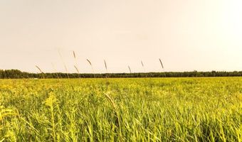 ON SURING LN unit 31 Acres 31 Acres, Argonne, WI 54511