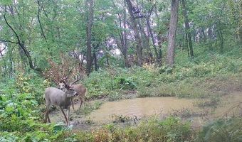 Simons Rd, Alma, WI 54610