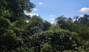 97 Destination Dr, Asheville, NC 28806