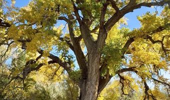 ROAD 4599, Blanco, NM 87412