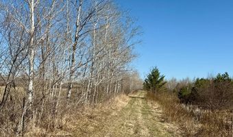 35504 Jackson Rd, Askov, MN 55704