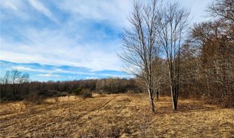 Quigg Hollow Road, Andover, NY 14806