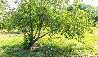 80 ROAD 4961, Bloomfield, NM 87413