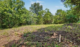 1410 Saint Paul Rd, Ballwin, MO 63021