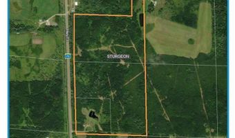 8800 Hwy 73, Angora, MN 55723